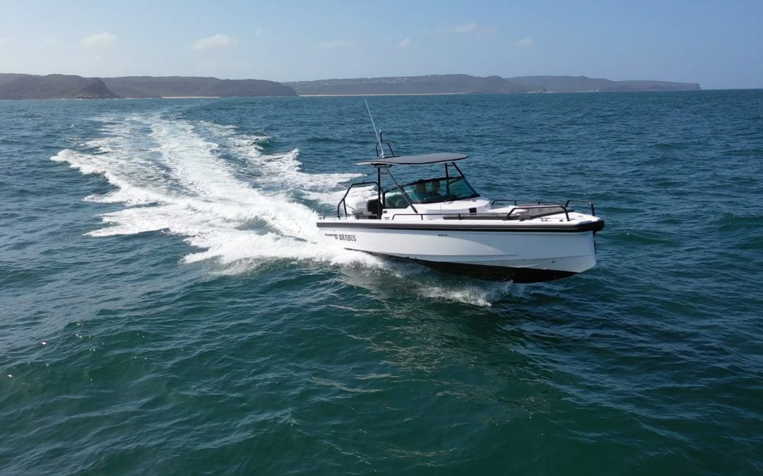 Sea Life Spotting Axopar Adventure